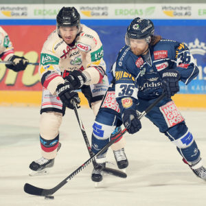 Rene Kramer von den Dresdner Eislöwen kontrolliert den Puck gegen Vitalij Aab von EC Bad Nauheim während Spiels zwischen den Eislöwen Dresden und EC Bad Nauheim am 18.09.2015 in Dresden, Deutschland. (Foto von Florian Pohl/City-Press GbR)