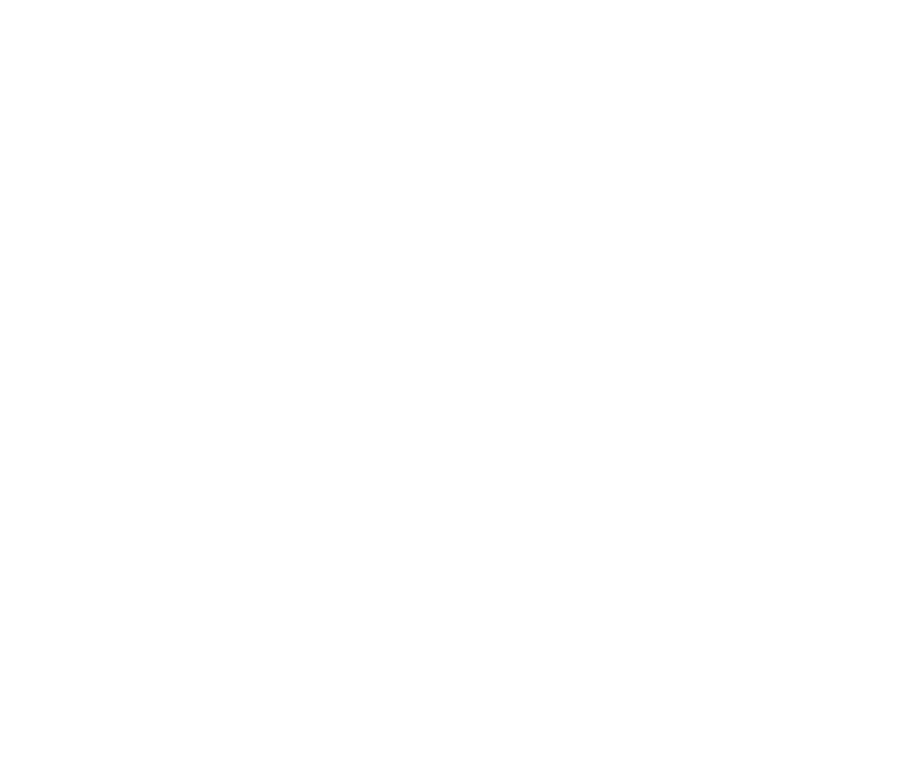 SG Dynamo Dresden