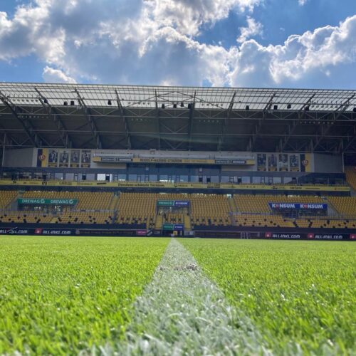 Eine Bodenansicht des grünen Spielfeldes des Rudolf-Harbig-Stadions in Dresden, mit einer weißen Linie, die sich in die Mitte erstreckt. Im Hintergrund sind die leeren gelben Tribünen und Sponsorenbanden unter einem bewölkten Himmel zu sehen.